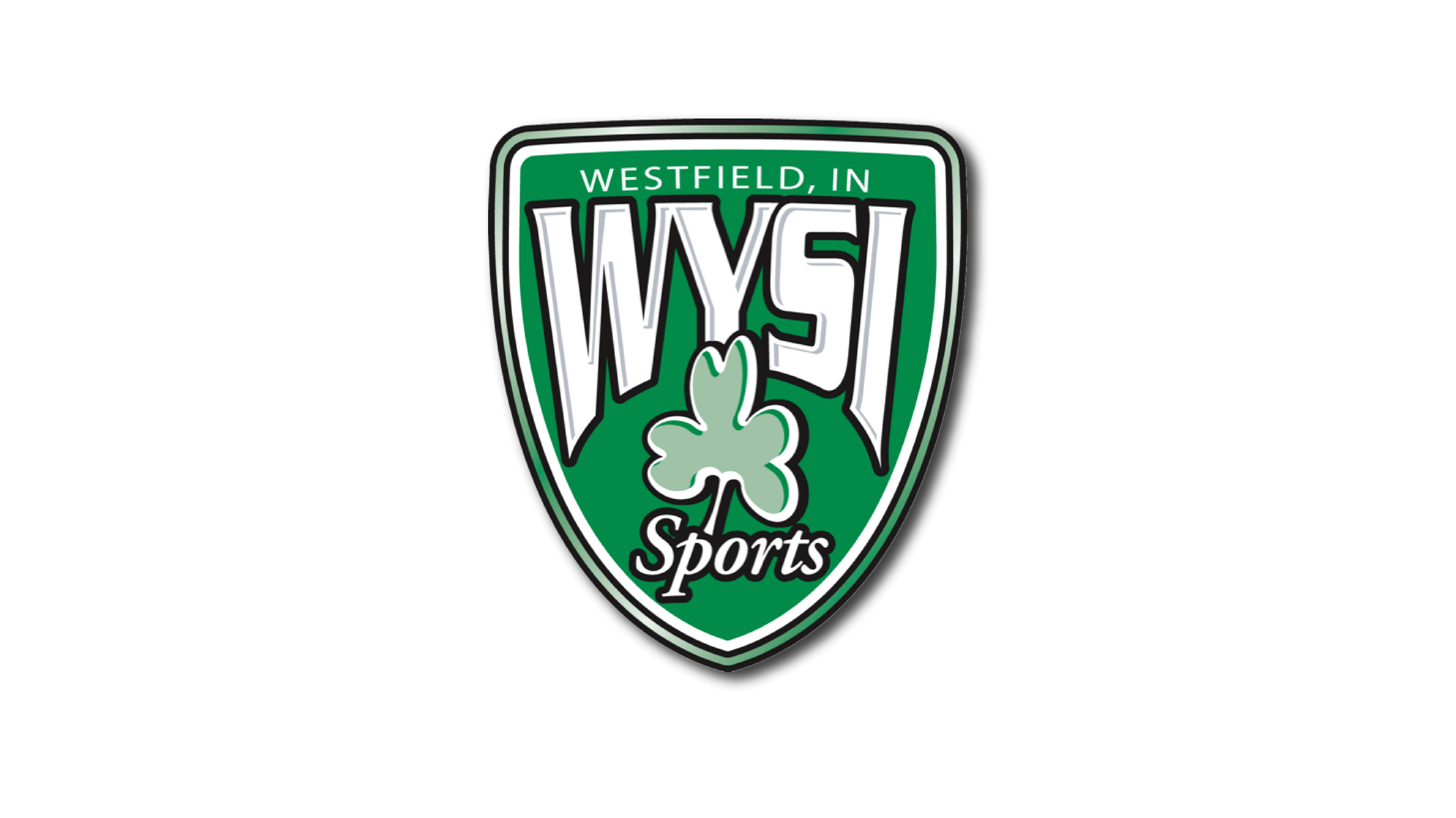WYSI Logo Sized 01